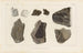 Recherches sur les poissons fossiles Pl184 - Louis Agassiz — artwork view
