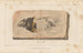 Recherches sur les poissons fossiles Pl186 - Louis Agassiz — artwork view