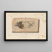 Recherches sur les poissons fossiles Pl186 - Louis Agassiz — framed artwork on a wall