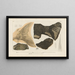 Recherches sur les poissons fossiles Pl187 - Louis Agassiz — framed artwork on a wall