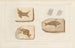 Recherches sur les poissons fossiles Pl. 197 - Louis Agassiz — artwork view
