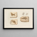 Recherches sur les poissons fossiles Pl. 197 - Louis Agassiz — framed artwork on a wall