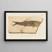 Recherches sur les poissons fossiles, Pl. 200 - Louis Agassiz — framed artwork on a wall