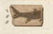 Recherches sur les poissons fossiles Pl209 - Louis Agassiz — artwork view