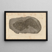 Recherches sur les poissons fossiles Pl213 - Louis Agassiz — framed artwork on a wall