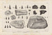 Recherches sur les poissons fossiles Pl214 - Louis Agassiz — artwork view