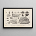 Recherches sur les poissons fossiles Pl214 - Louis Agassiz — framed artwork on a wall