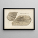 Recherches sur les poissons fossiles Pl228 - Louis Agassiz — framed artwork on a wall