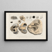 Recherches sur les poissons fossiles Pl247 - Louis Agassiz — framed artwork on a wall