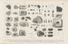 Recherches sur les poissons fossiles Pl249 - Louis Agassiz — artwork view
