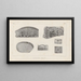 Recherches sur les poissons fossiles Pl261 - Louis Agassiz — framed artwork on a wall