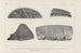 Recherches sur les poissons fossiles Pl263 - Louis Agassiz — artwork view