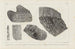 Recherches sur les poissons fossiles Pl264 - Louis Agassiz — artwork view