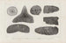 Recherches sur les poissons fossiles Pl265 - Louis Agassiz — artwork view