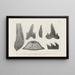 Recherches sur les poissons fossiles Pl270 - Louis Agassiz — framed artwork on a wall
