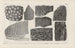 Recherches sur les poissons fossiles Pl272 - Louis Agassiz — artwork view