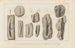 Recherches sur les poissons fossiles Pl280 - Louis Agassiz — artwork view