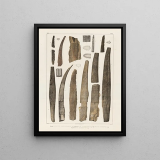 Louis Agassiz - Recherches sur les poissons fossiles Pl284.webp
