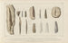 Recherches sur les Poissons Fossiles Pl285 - Louis Agassiz — artwork view