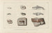 Recherches sur les poissons fossiles Pl288 - Louis Agassiz — artwork view