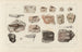 Recherches sur les poissons fossiles Pl289 - Louis Agassiz — artwork view