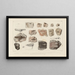 Recherches sur les poissons fossiles Pl289 - Louis Agassiz — framed artwork on a wall