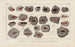 Recherches sur les poissons fossiles Pl292 - Louis Agassiz — artwork view