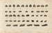 Recherches sur les poissons fossiles Pl. 294 - Louis Agassiz — artwork view