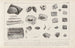 Recherches sur les poissons fossiles Pl296 - Louis Agassiz — artwork view