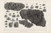 Recherches sur les poissons fossiles Pl300 - Louis Agassiz — artwork view