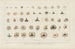 Recherches sur les poissons fossiles Pl302 - Louis Agassiz — artwork view