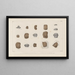 Recherches sur les poissons fossiles Pl304 - Louis Agassiz — framed artwork on a wall
