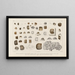 Recherches sur les poissons fossiles Pl306 - Louis Agassiz — framed artwork on a wall