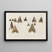 Recherches sur les poissons fossiles Pl313 - Louis Agassiz — framed artwork on a wall