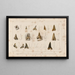 Recherches sur les poissons fossiles Pl316 - Louis Agassiz — framed artwork on a wall