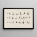 Recherches sur les poissons fossiles Pl318 - Louis Agassiz — framed artwork on a wall