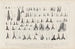 Recherches sur les poissons fossiles Pl321 - Louis Agassiz — artwork view