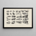 Recherches sur les poissons fossiles Pl. 328 - Louis Agassiz — framed artwork on a wall