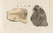 Recherches sur les poissons fossiles Pl332 - Louis Agassiz — artwork view