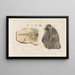 Recherches sur les poissons fossiles Pl332 - Louis Agassiz — framed artwork on a wall
