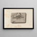 Recherches sur les poissons fossiles Pl352 - Louis Agassiz — framed artwork on a wall