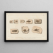 Recherches sur les poissons fossiles Pl354 - Louis Agassiz — framed artwork on a wall