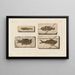 Recherches sur les poissons fossiles, Pl. 360 - Louis Agassiz — framed artwork on a wall