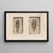 Recherches sur les poissons fossiles Pl361 - Louis Agassiz — framed artwork on a wall