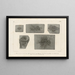 Recherches sur les poissons fossiles Pl368 - Louis Agassiz — framed artwork on a wall