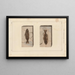 Recherches sur les poissons fossiles Pl372 - Louis Agassiz — framed artwork on a wall