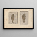 Recherches sur les Poissons Fossiles Pl. 374 - Louis Agassiz — framed artwork on a wall