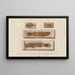 Recherches sur les poissons fossiles Pl384 - Louis Agassiz — framed artwork on a wall