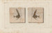 Recherches sur les poissons fossiles Pl387 - Louis Agassiz — artwork view