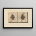 Recherches sur les poissons fossiles, Pl. 394 - Louis Agassiz — framed artwork on a wall